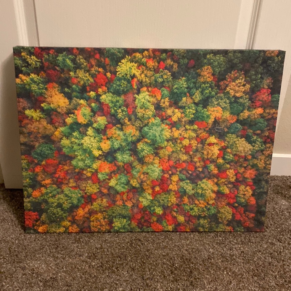 Pier 1 tree canvas